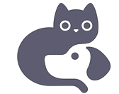 Welcome to Elite Kittens UAE